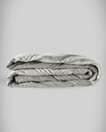 blanky + Winter