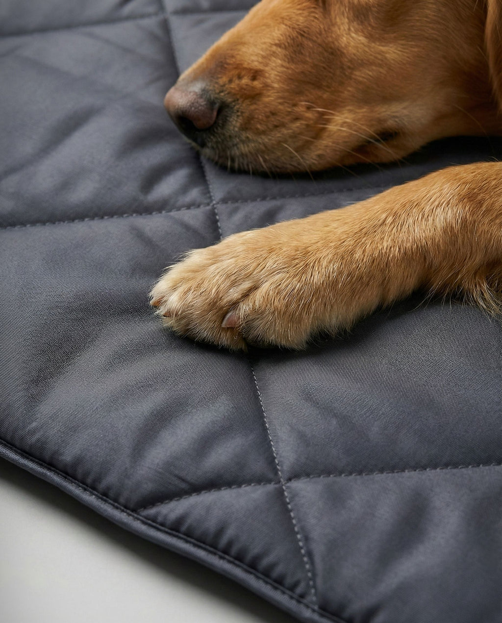 Pet blanky