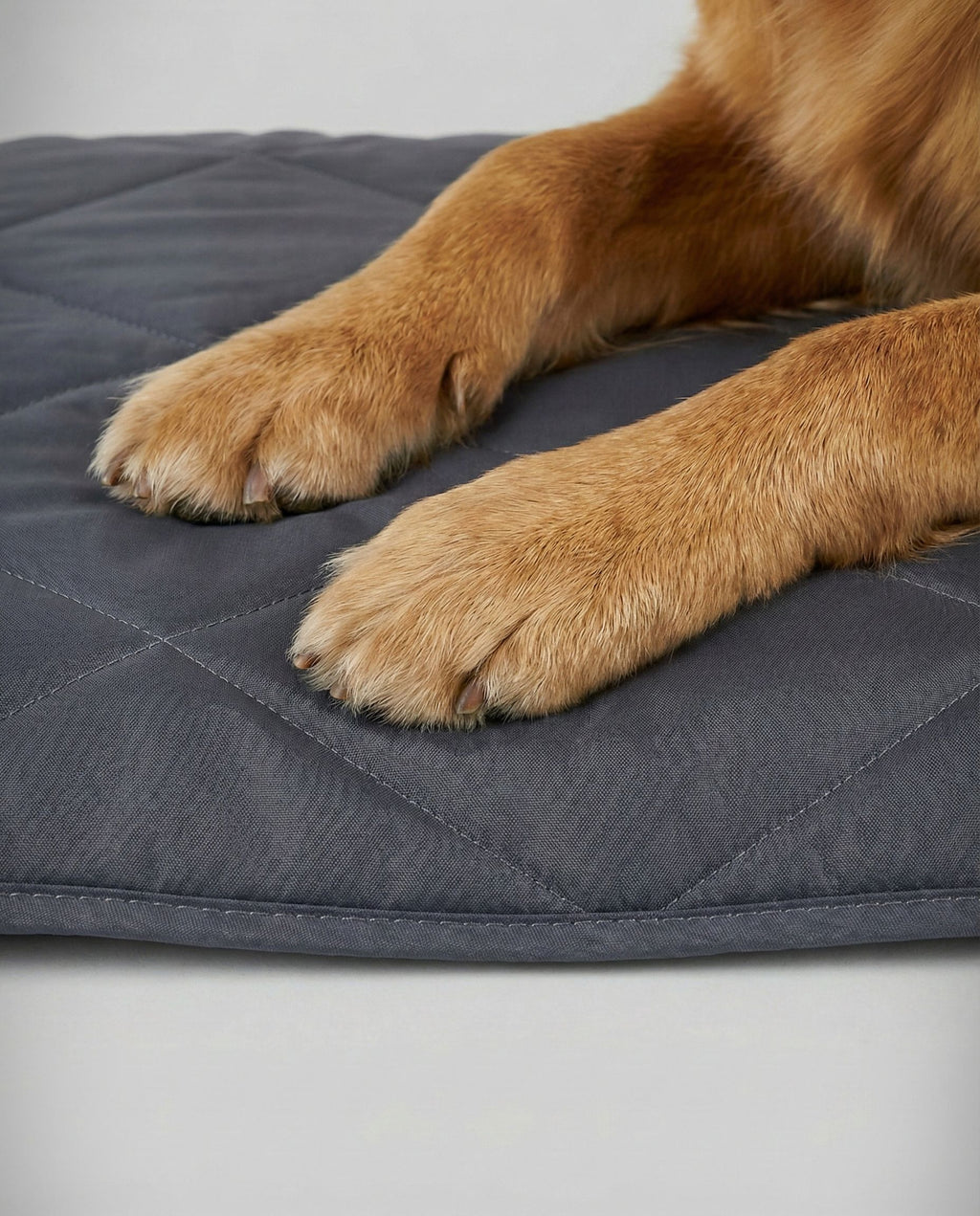 Pet blanky